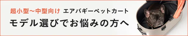 サイズ選びお悩みの方へ