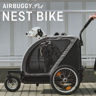エアバギー ネストバイク | エアバギー公式オンラインストア[AIRBUGGY 