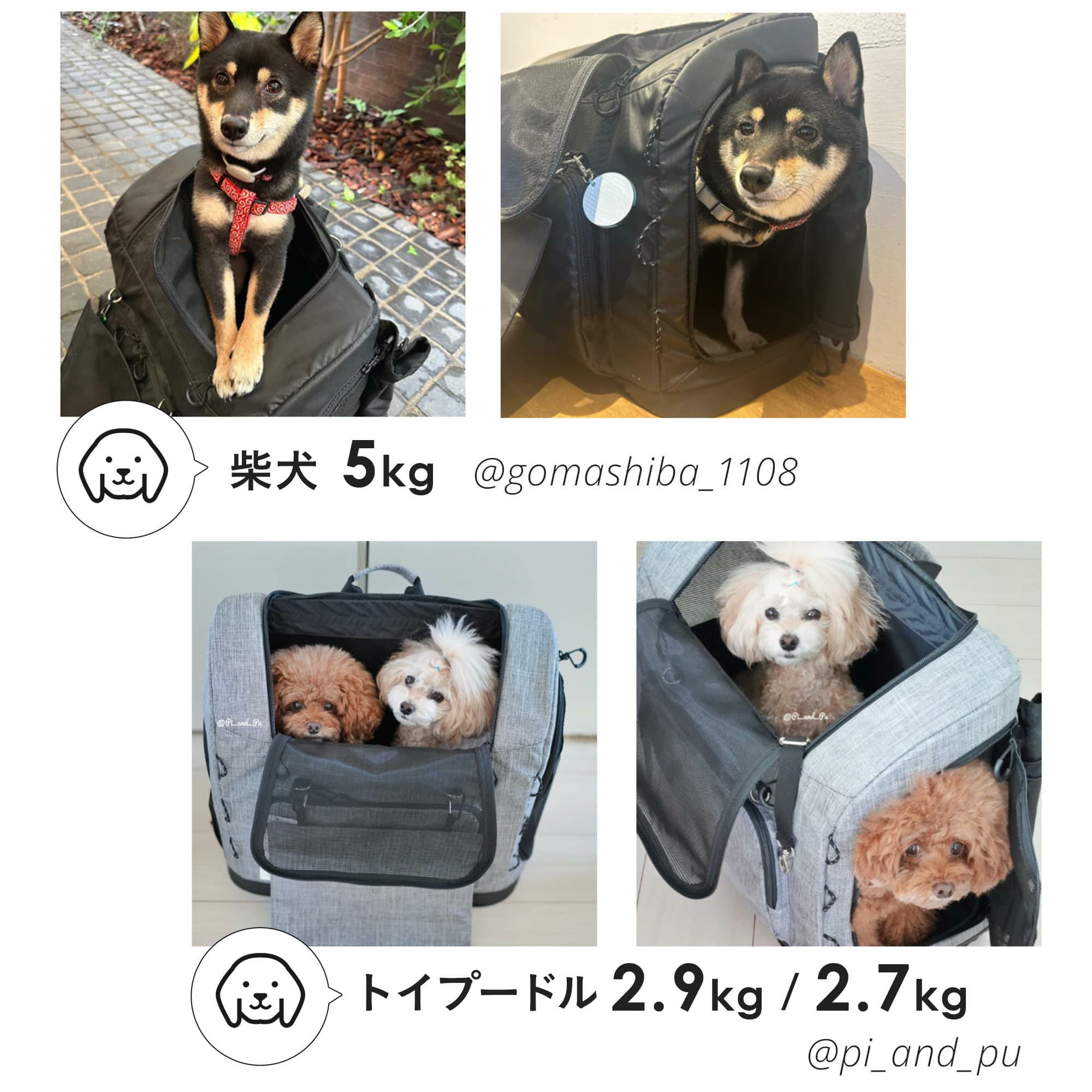 エアバギー 3ウェイバックパックキャリー [ワイドサイズ] | エアバギー