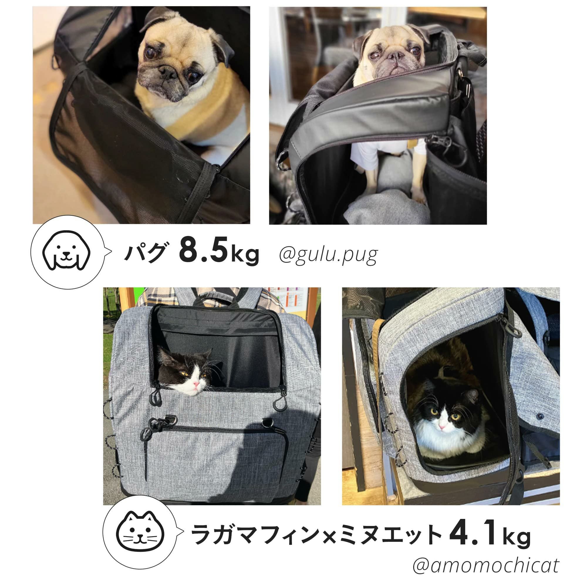 エアバギー 3ウェイバックパックキャリー [ワイドサイズ] | エアバギー