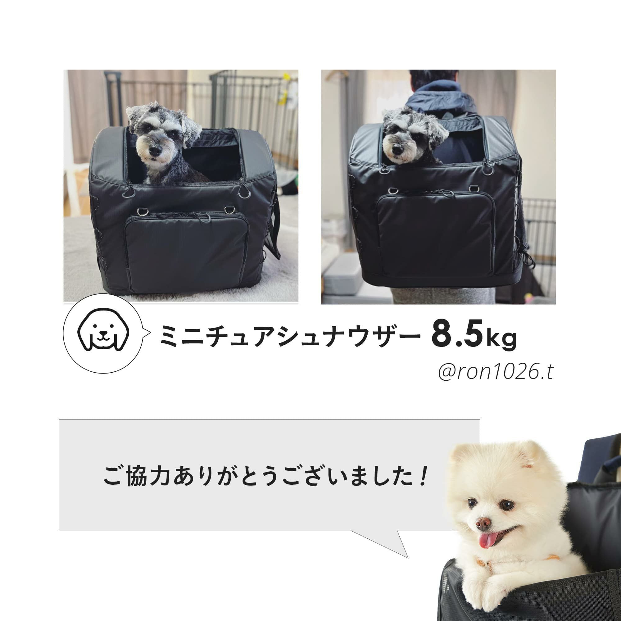 エアバギー 3ウェイバックパックキャリー [ワイドサイズ] | エアバギー