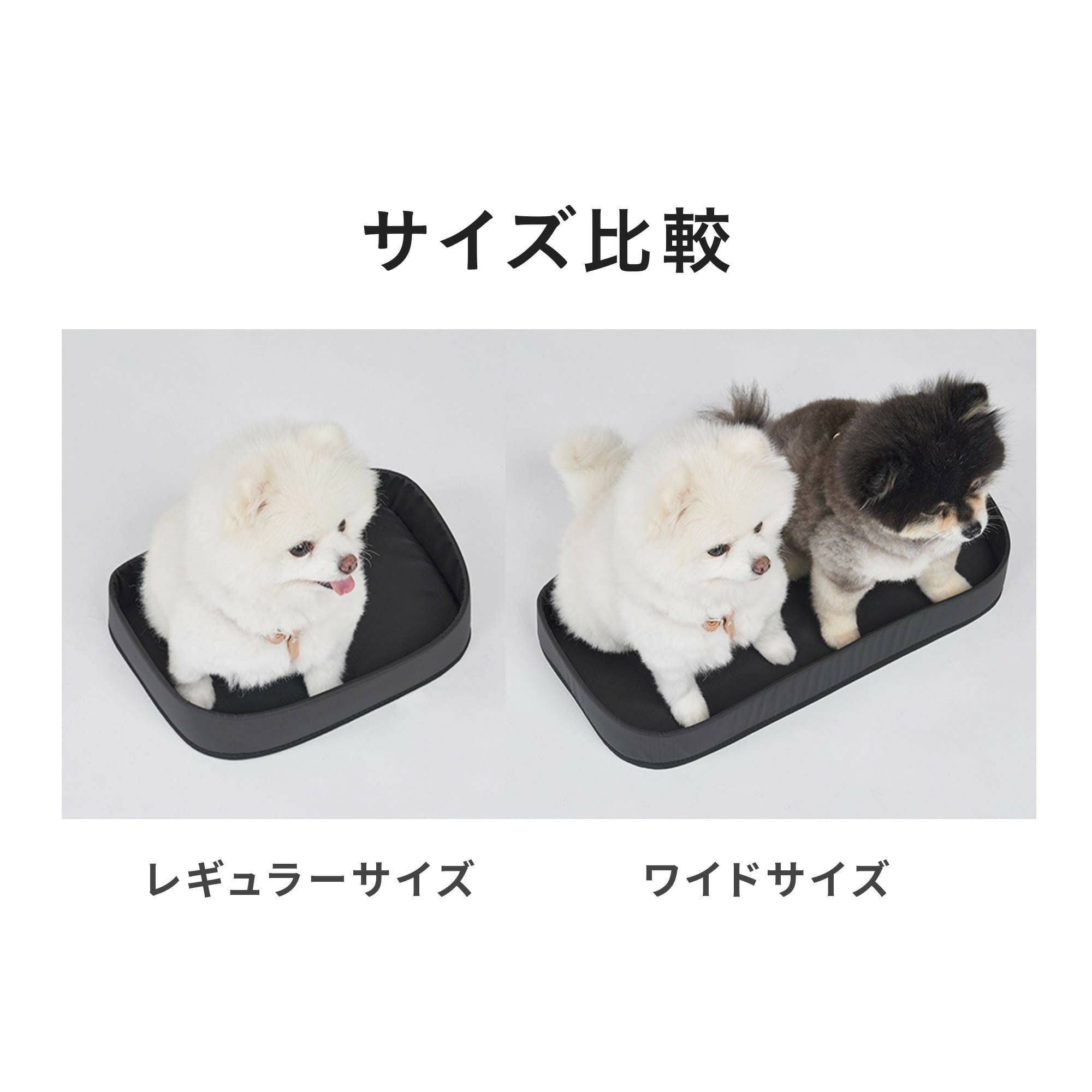 3WAYバックパック 車載ベルトセット レギュラー | エアバギー公式