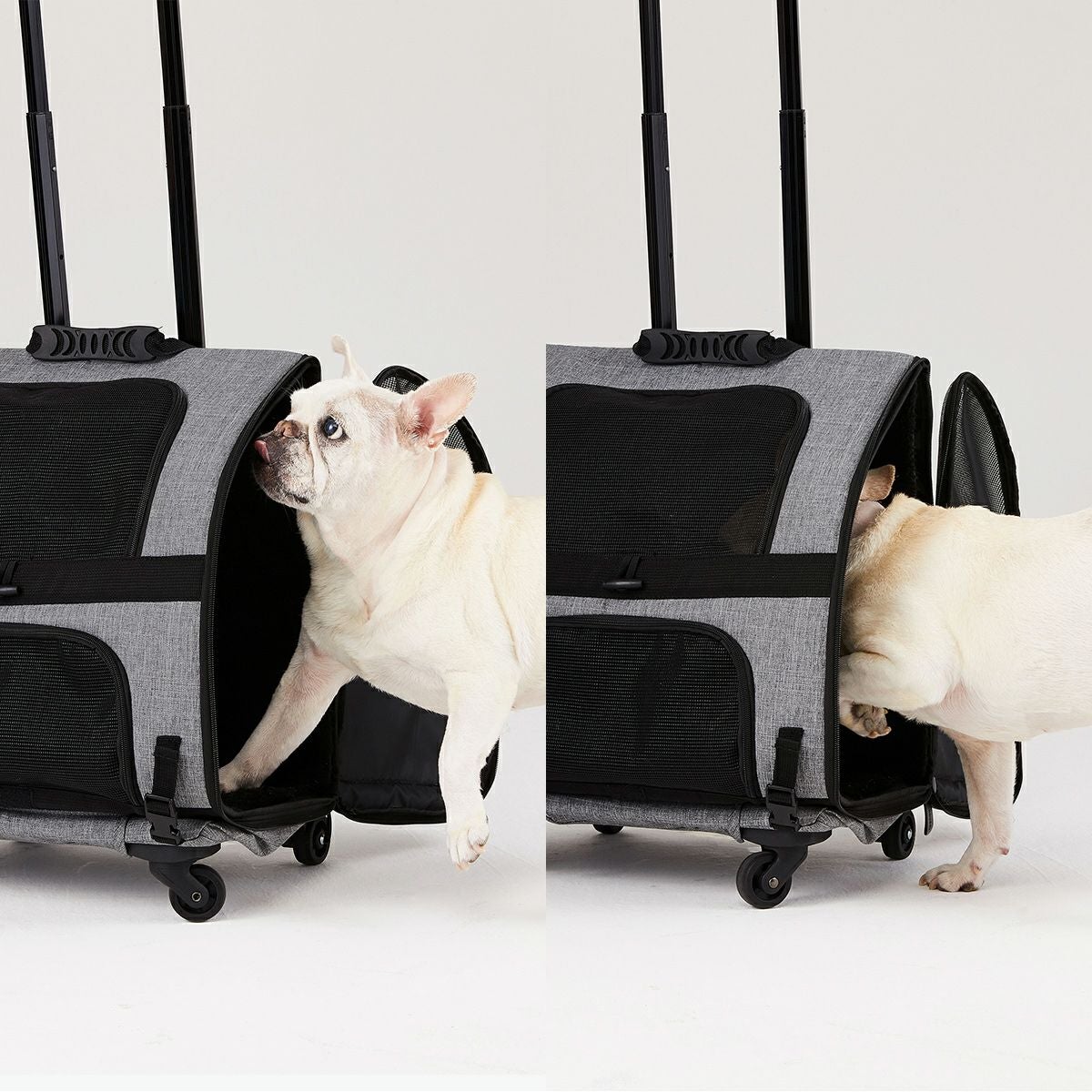 エアバギーフィット | エアバギー公式オンラインストア[AIRBUGGY