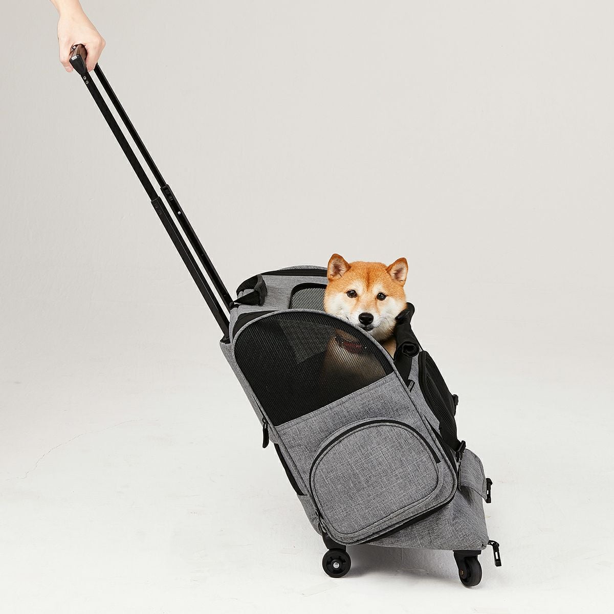 エアバギーフィット | エアバギー公式オンラインストア[AIRBUGGY