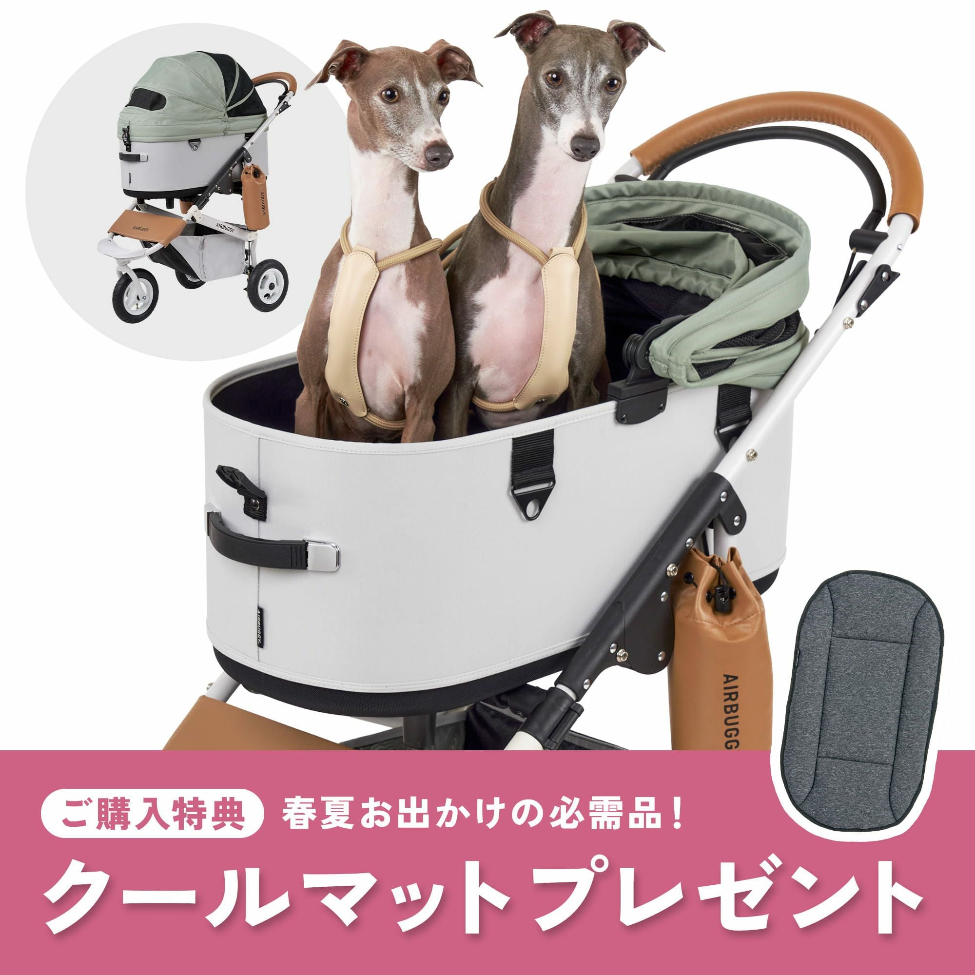 エアバギー ドーム3 ラージサイズ | エアバギー公式オンラインストア