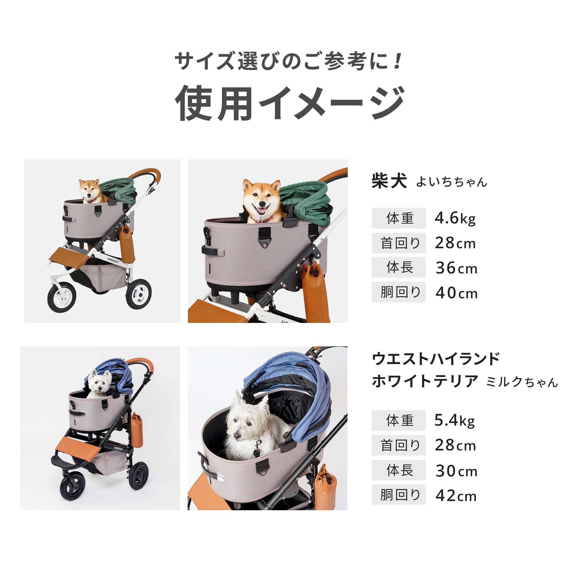 エアバギー　レギュラーサイズ　コットのみ　チェリーブロッサム エアバギー ドーム3 レギュラーサイズ [コット単品] | エアバギー公式