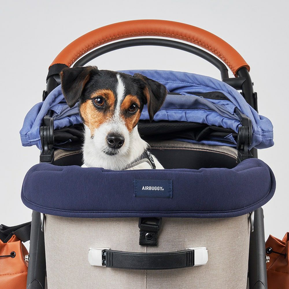 ゴーウォーカー | エアバギー公式オンラインストア[AIRBUGGY Official