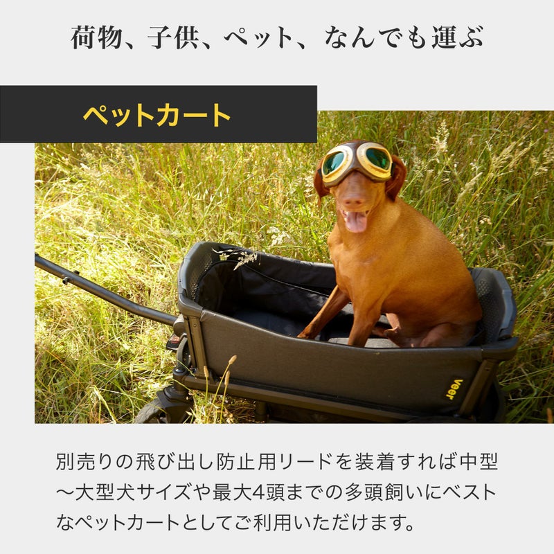 ヴィア・クルーザー 本体単品 | エアバギー公式オンラインストア 