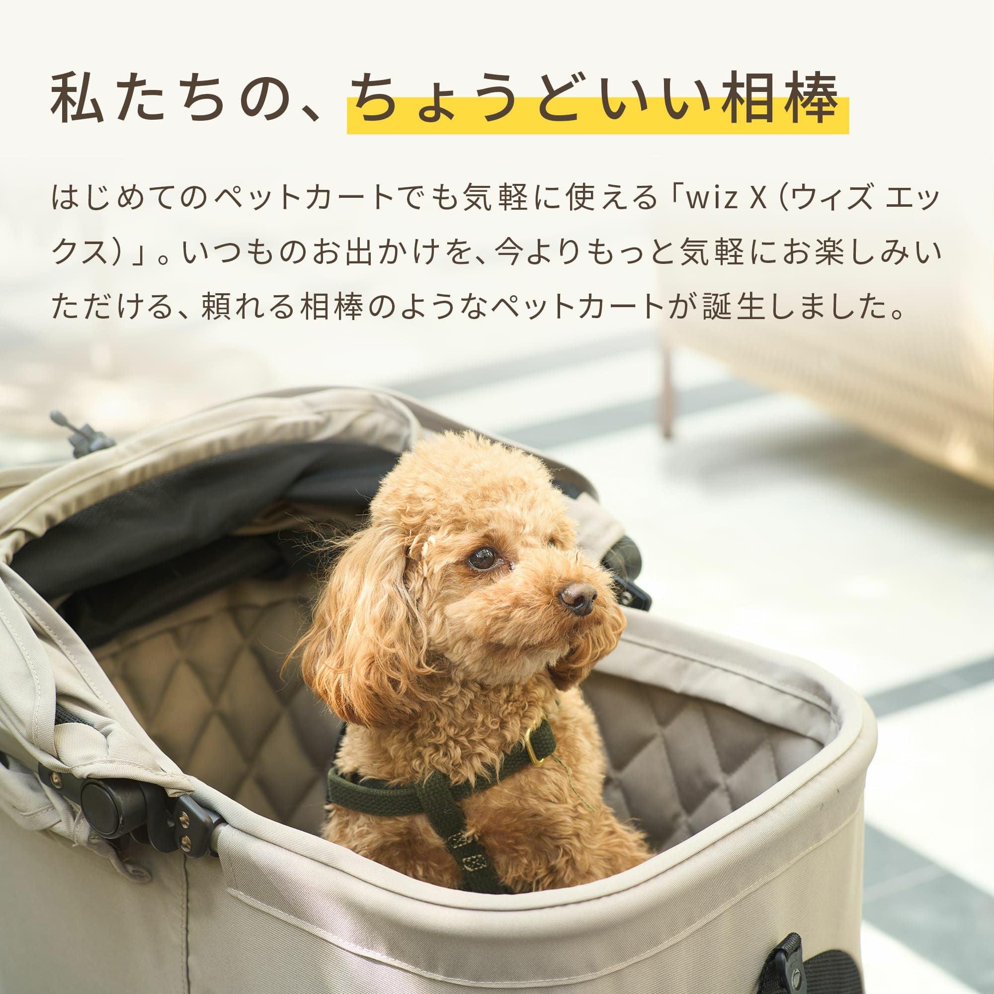 エアバギー ウィズ エックス | エアバギー公式オンラインストア