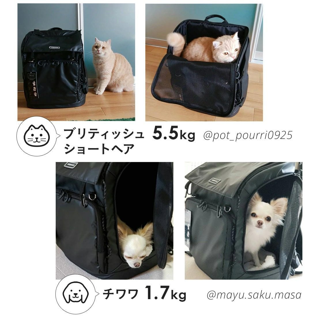 エアバギー 3ウェイバックパックキャリー [レギュラーサイズ