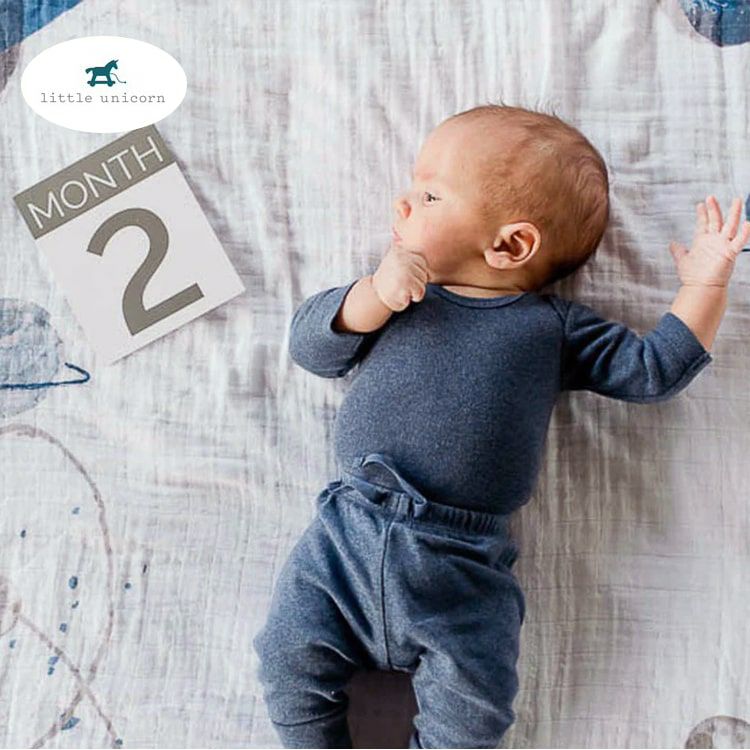 フォトブランケット | エアバギー公式オンラインストア[AIRBUGGY