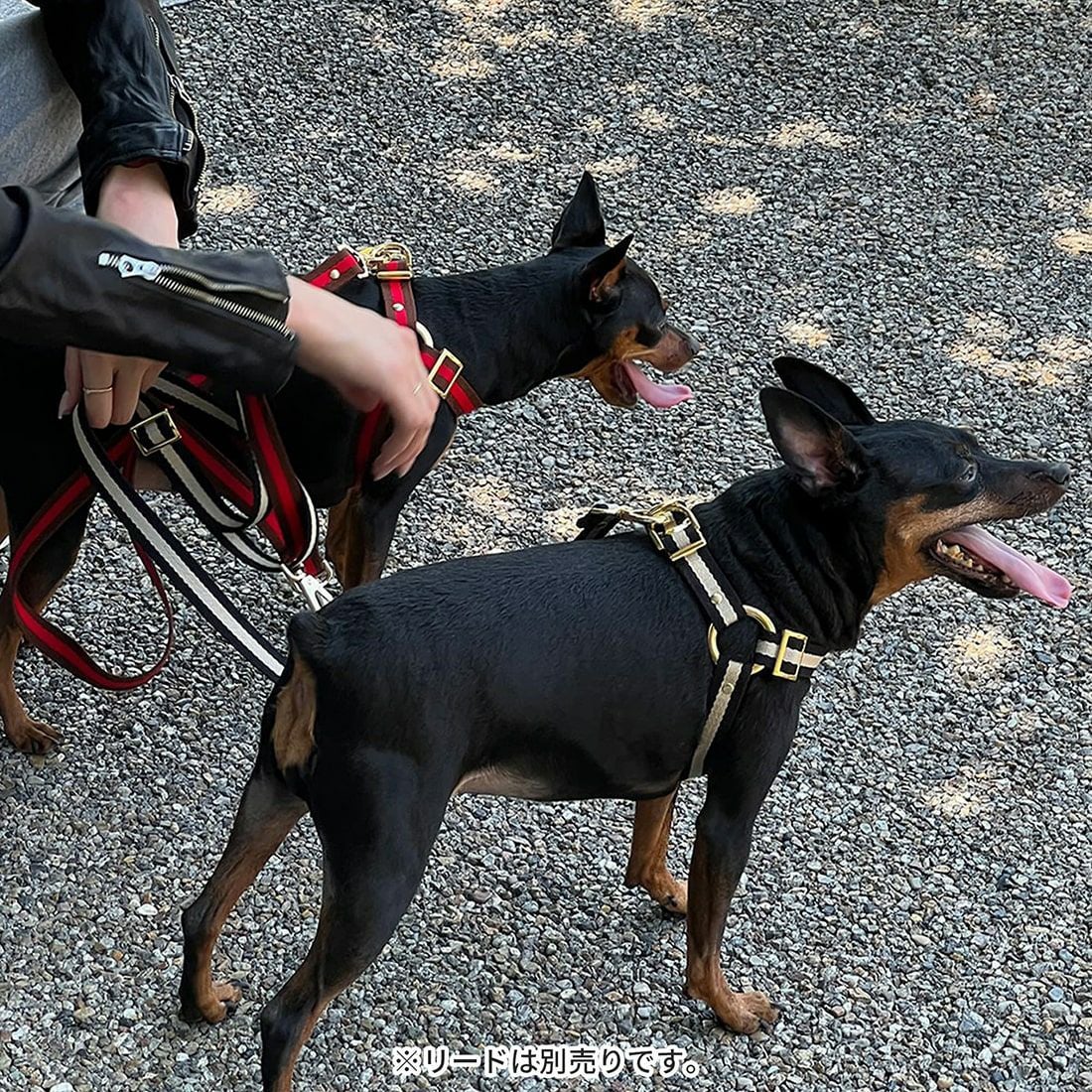 ストライプストラップ ハーネス | エアバギー公式オンラインストア