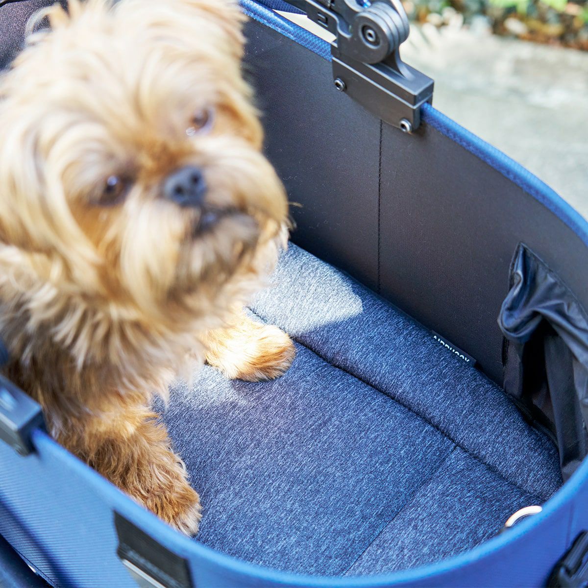 エアバギー ドームマット クール [保冷剤セット] | エアバギー公式