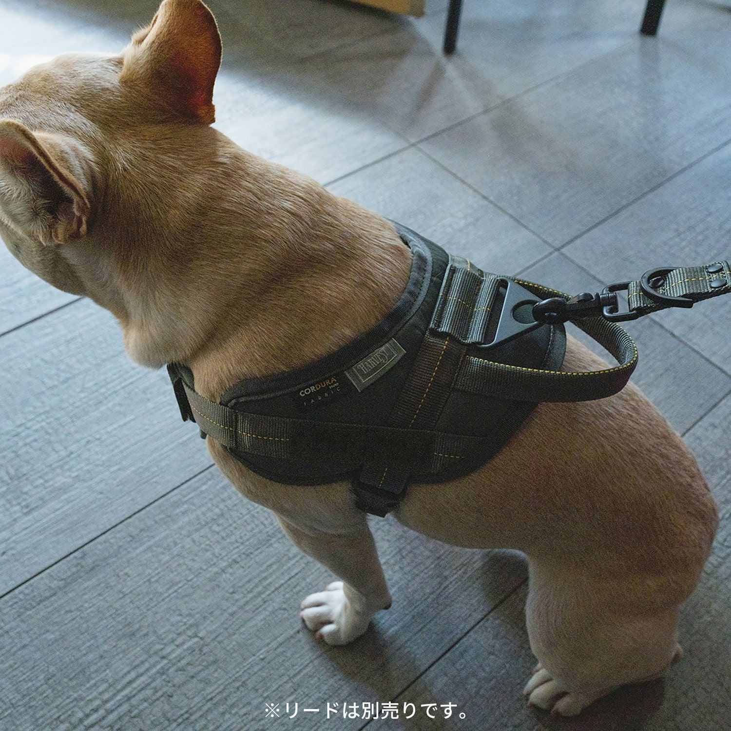 ミリタリーハーネス Mサイズ | エアバギー公式オンラインストア