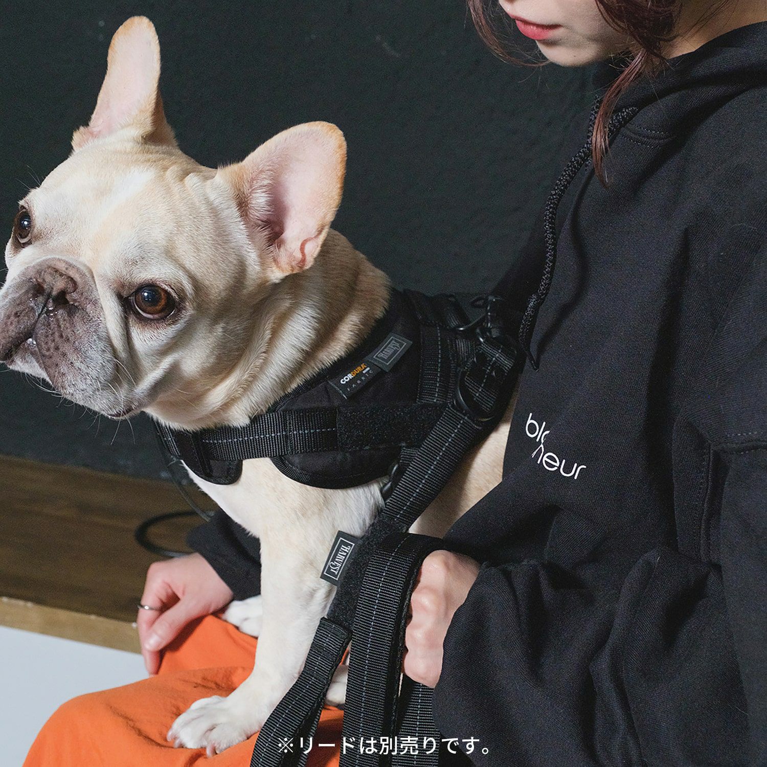 000000001899-11.jpg?size=l&w=