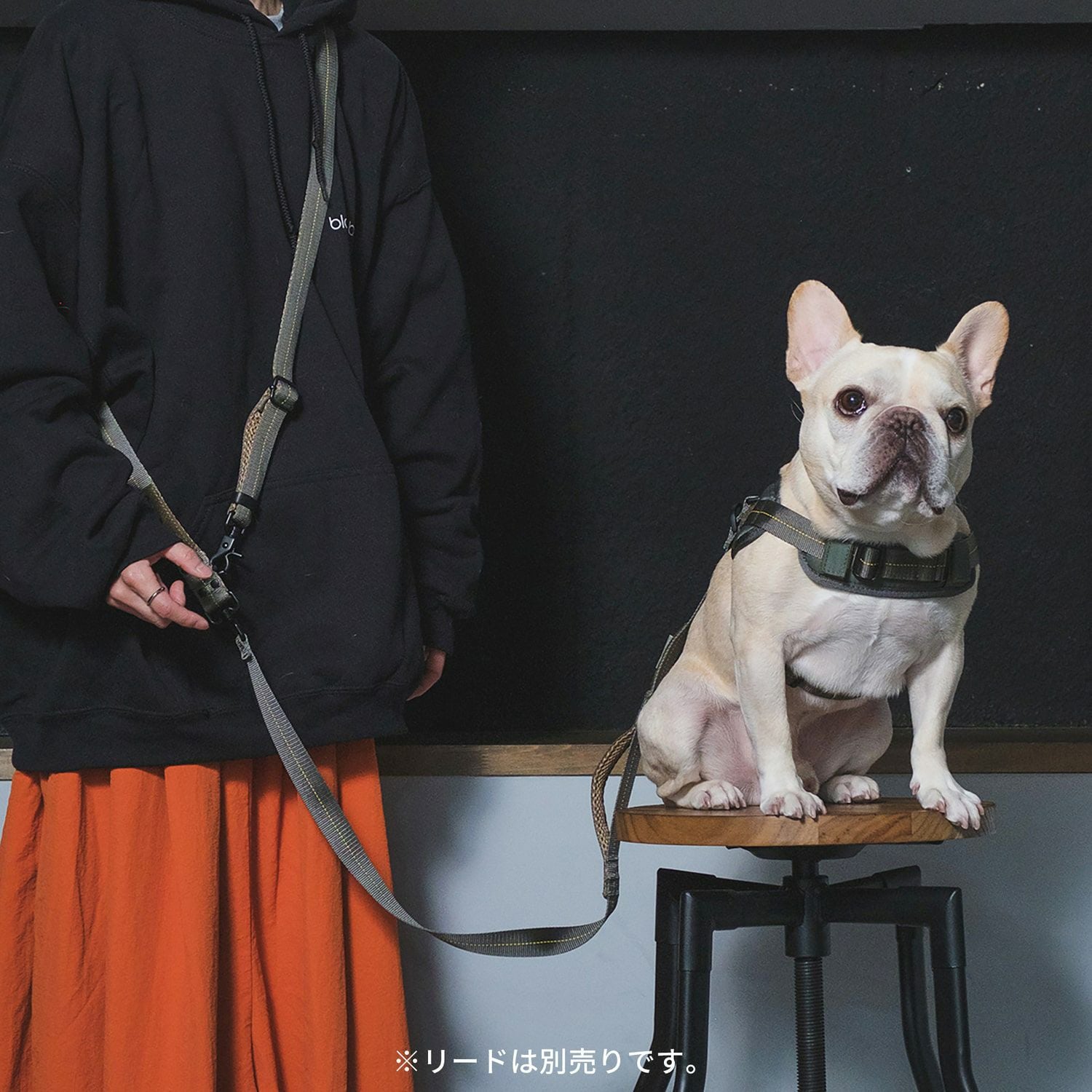 ミリタリーハーネス Mサイズ | エアバギー公式オンラインストア