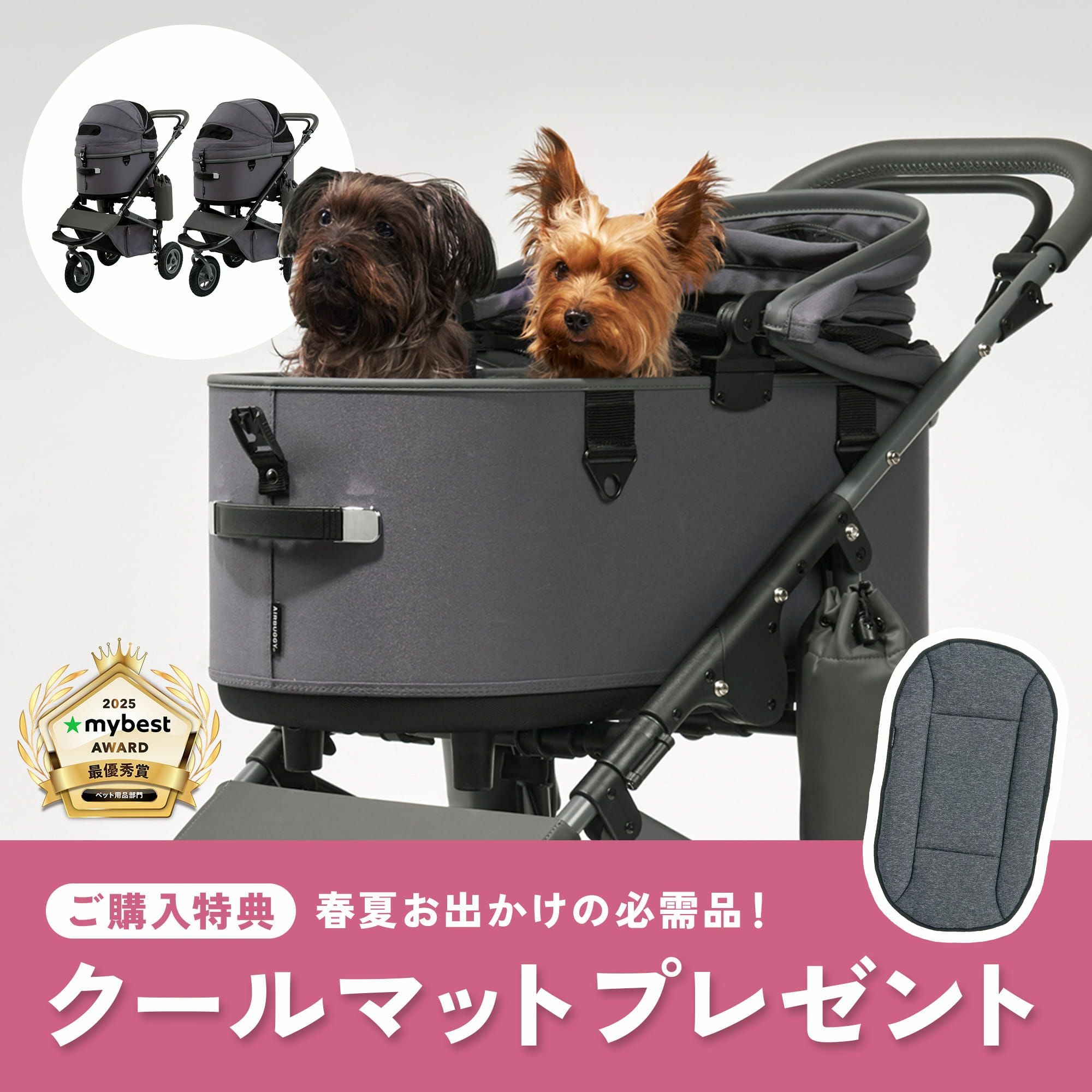 DOME3 プレミア | エアバギー公式オンラインストア[AIRBUGGY Official