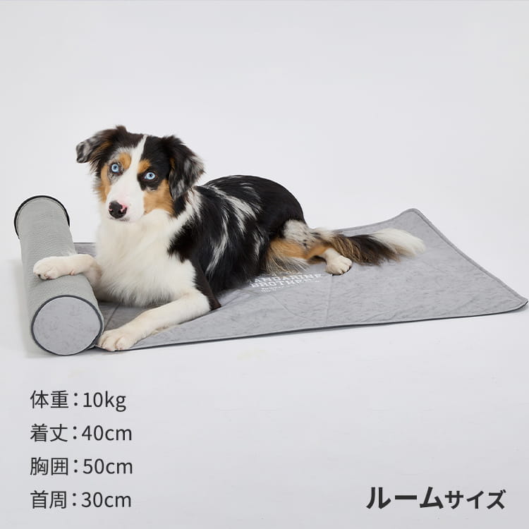 000000001945-19.jpg?size=l&w=
