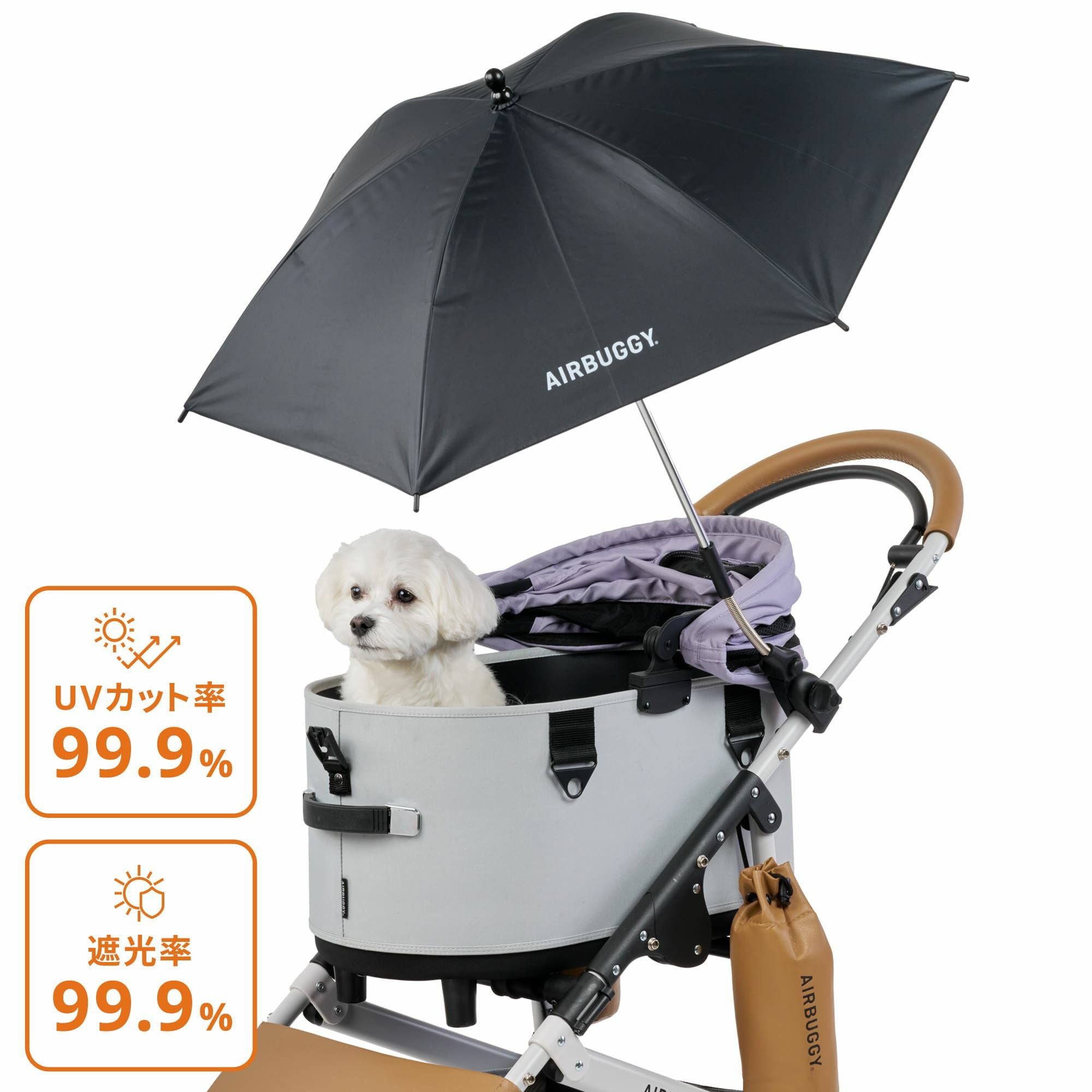 000000001946-01.jpg?size=m&w=