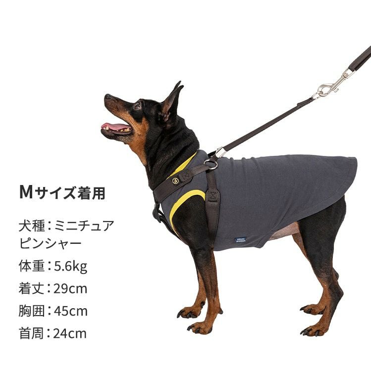 クラシックハーネス | エアバギー公式オンラインストア[AIRBUGGY