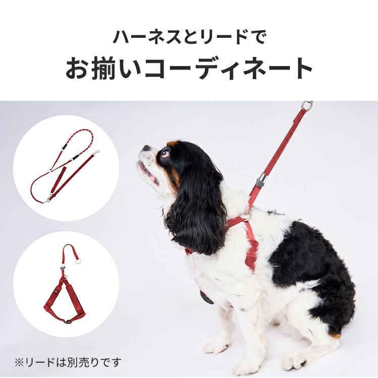 000000001991-19.jpg?size=l&w=