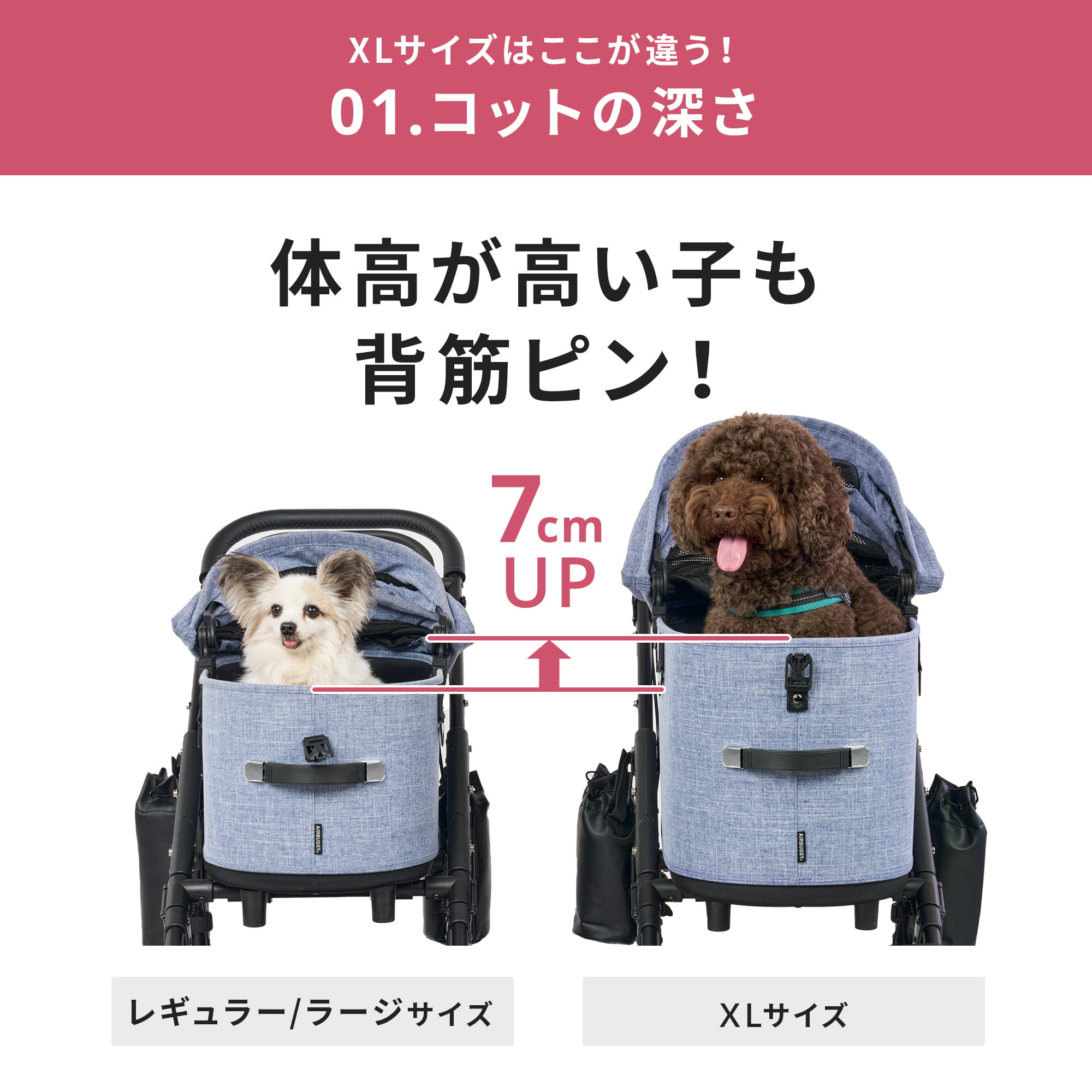 AIRBUGGYDOME3PREMIER(LARGE)コット単品　エアバギー エアバギー ドーム3 XLサイズ [コット単品] | エアバギー公式