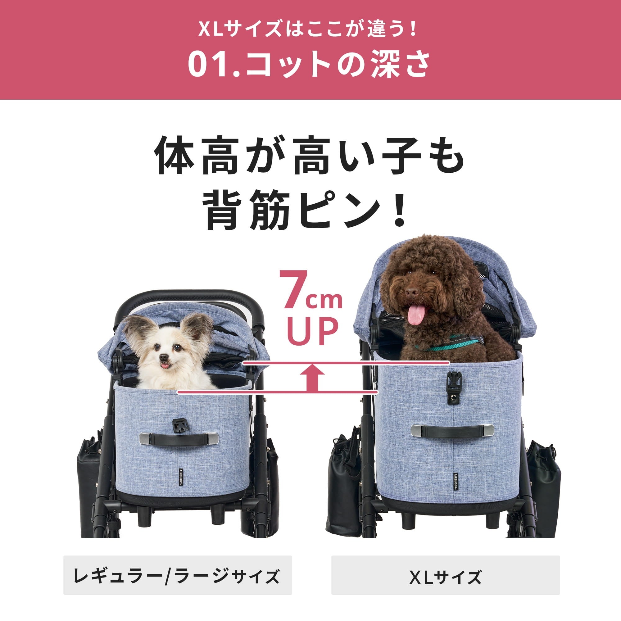 エアバギー ドーム3 XLサイズ | エアバギー公式オンラインストア