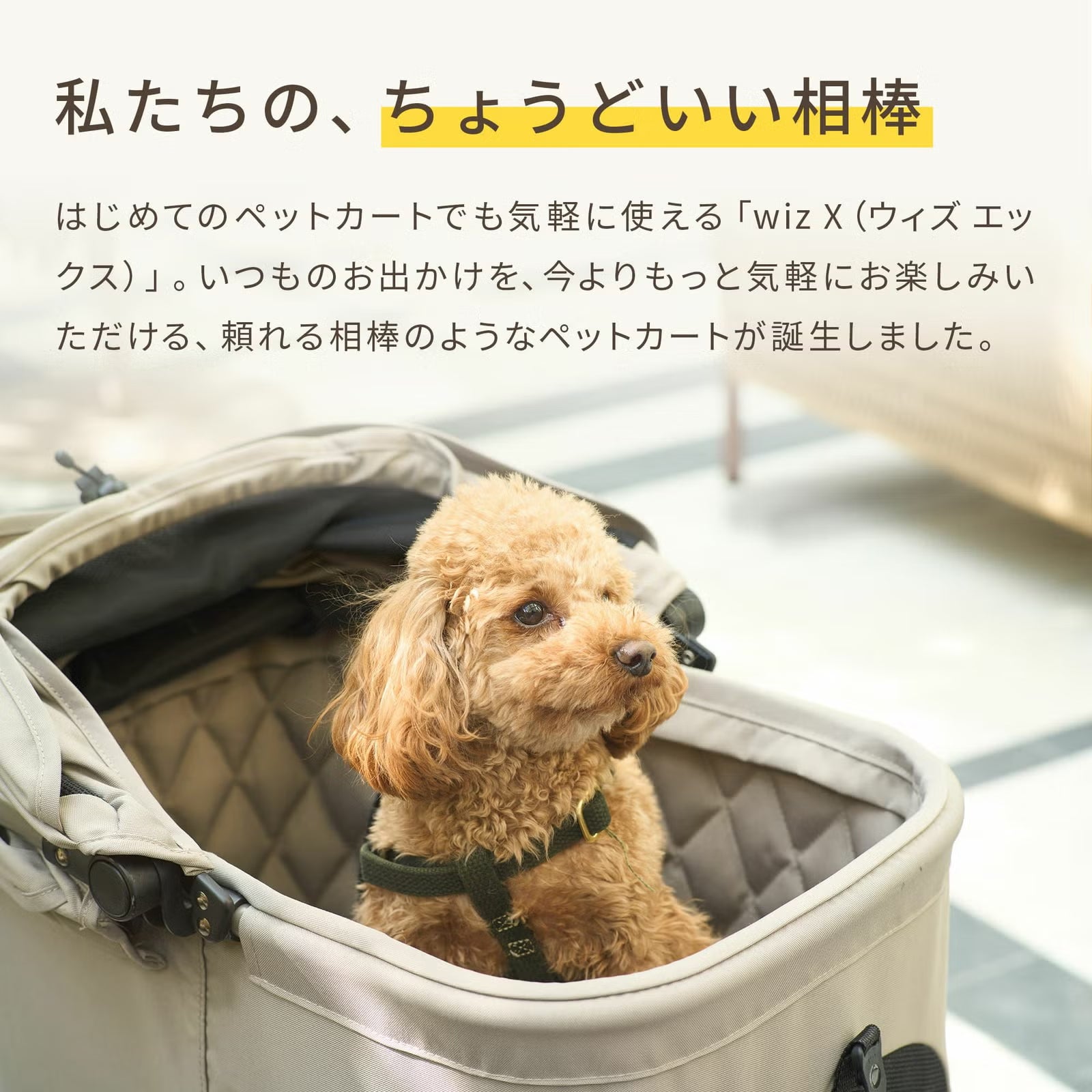 エアバギー ウィズ エックス [クールクッションセット] | エアバギー