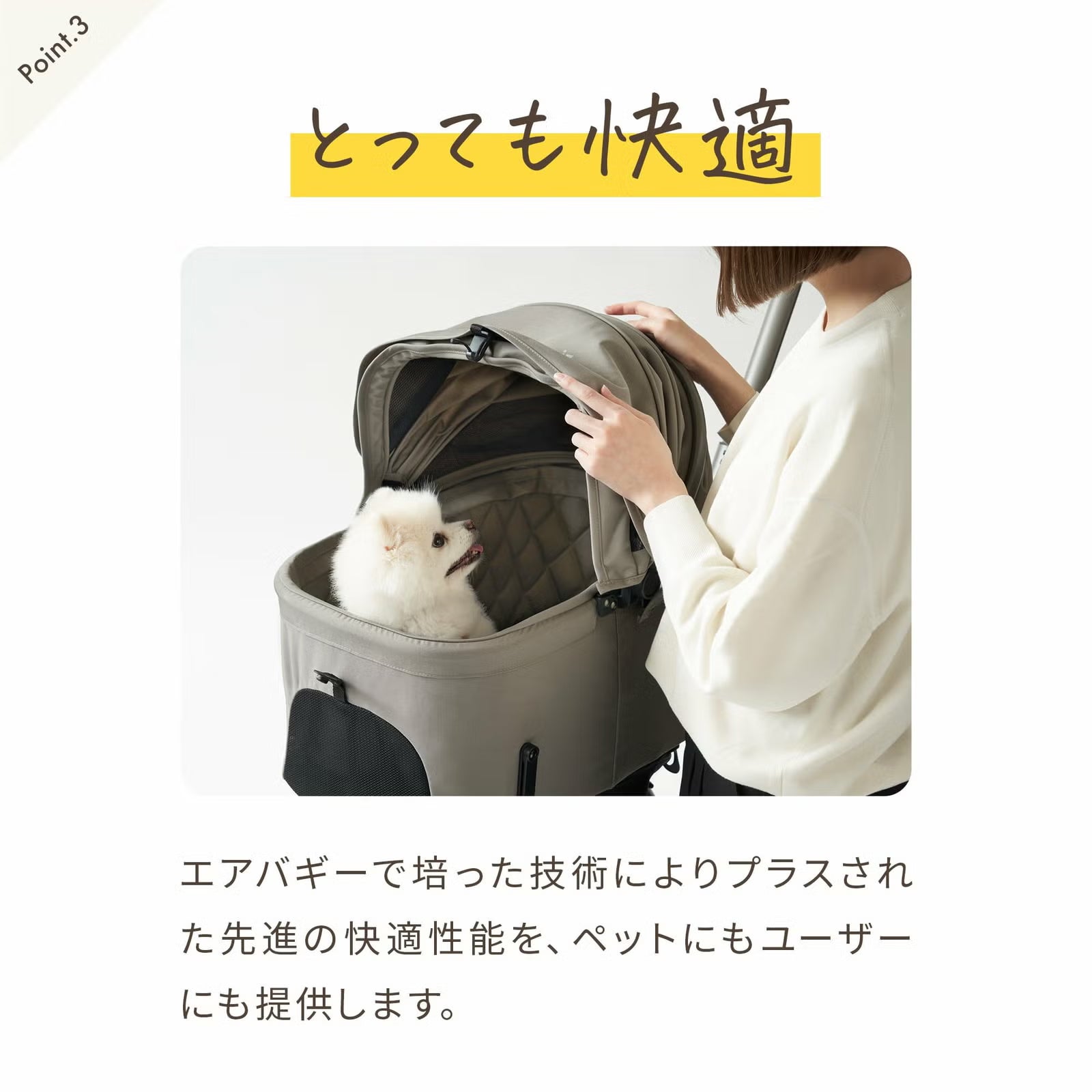 エアバギー ウィズ エックス [クールクッションセット] | エアバギー
